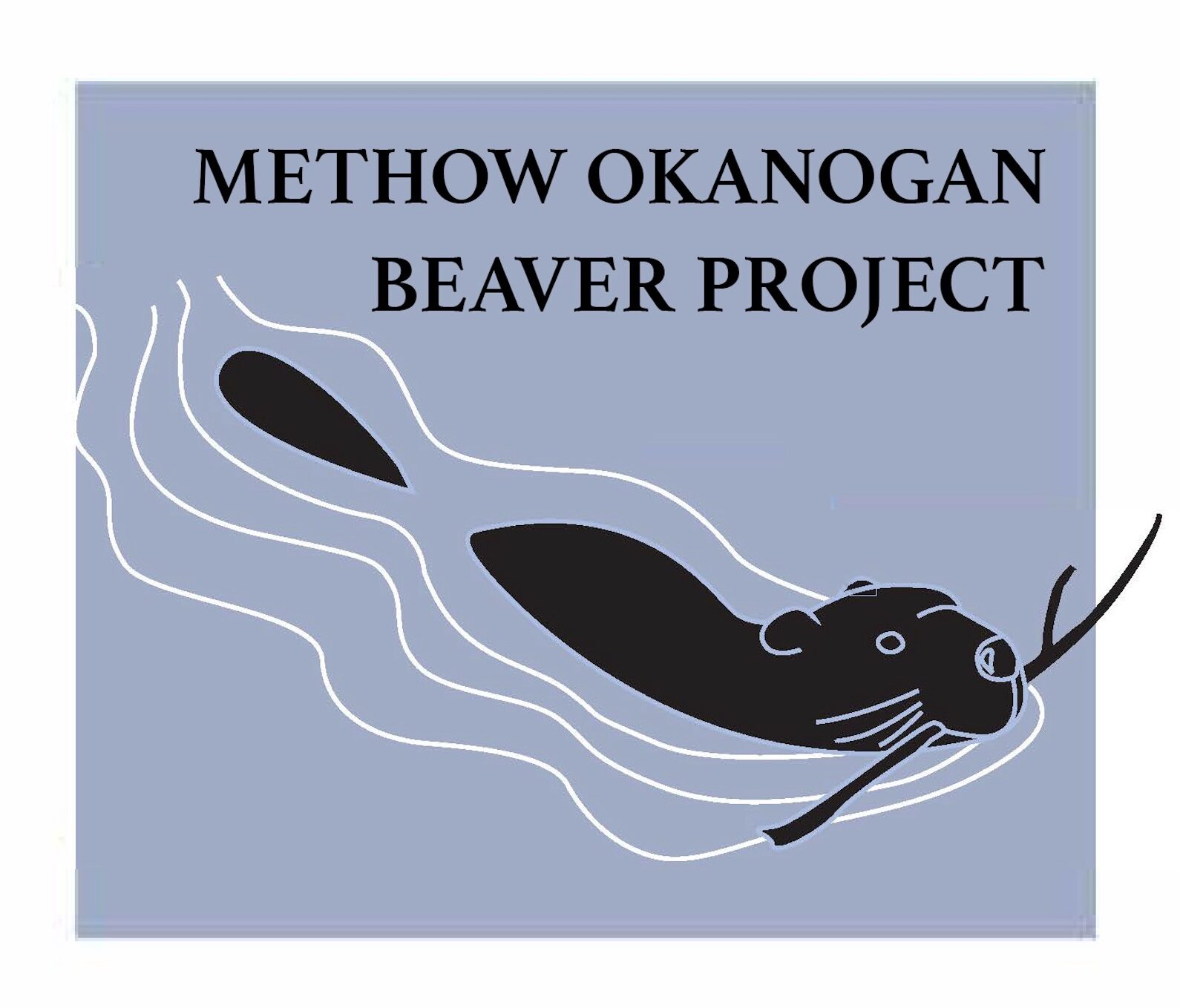 Methow Beaver Project